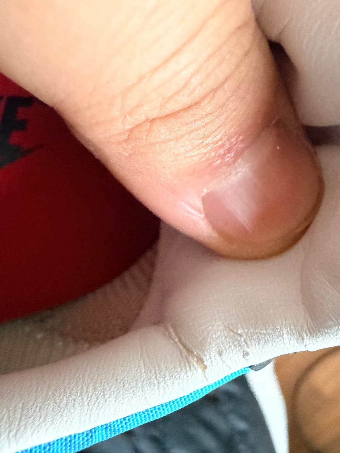 [새제품] 나이키 코르테즈 빈티지 비비드블루 275 상품이미지5