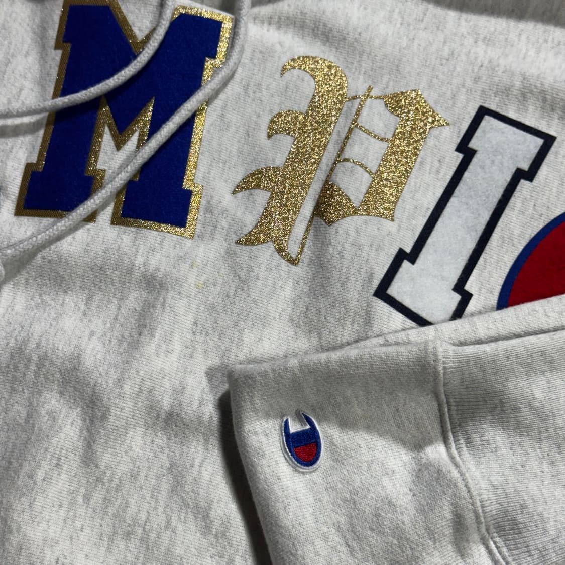 챔피온 리버스웨이브 아치 스펠링 레터링 후드티 상품이미지3