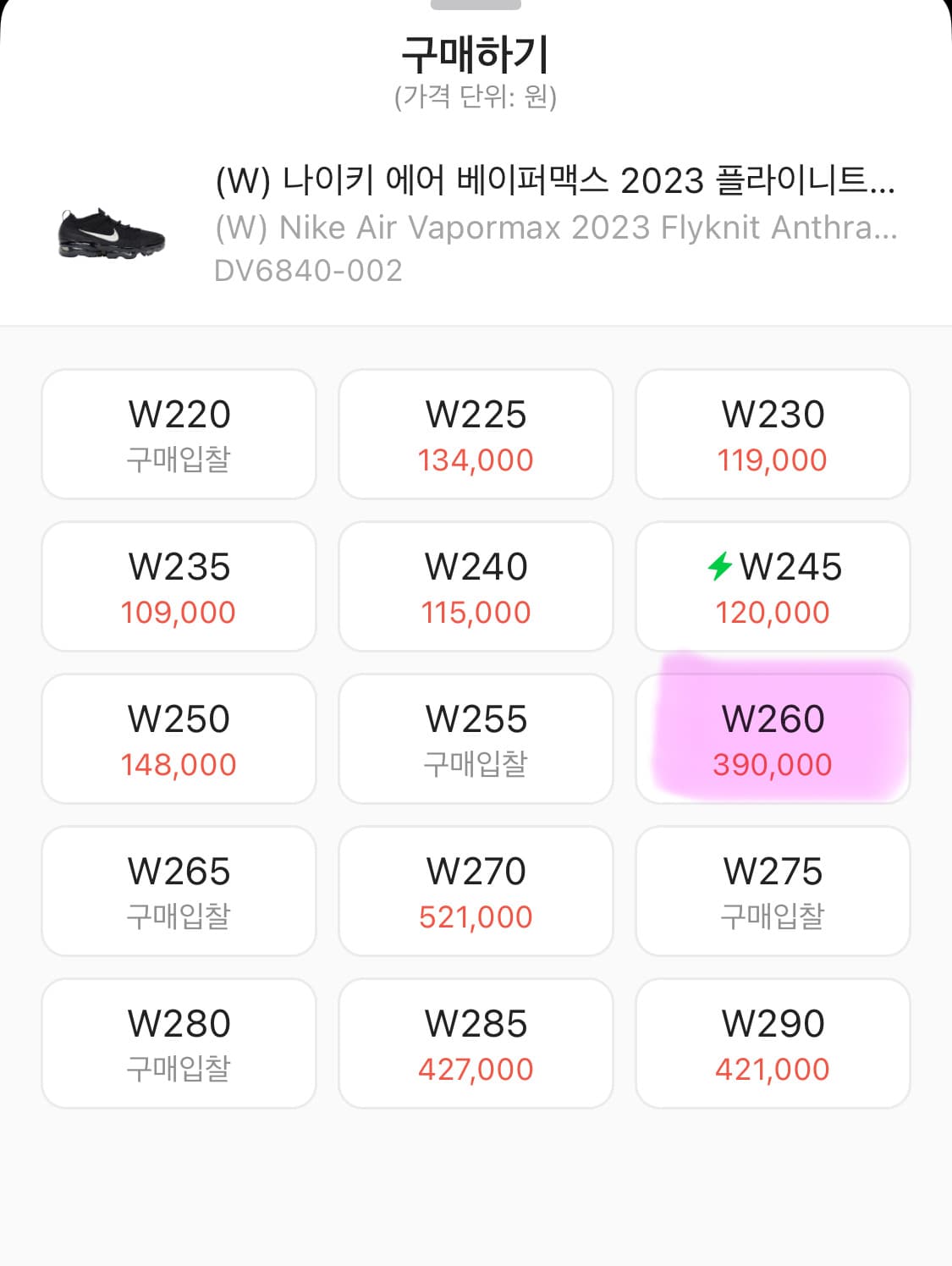 나이키 에어 베이퍼맥스 플라이니트 260 상품이미지2