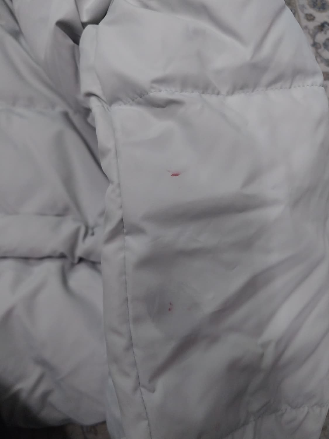 DEWL 니트 패딩 66 상품이미지7