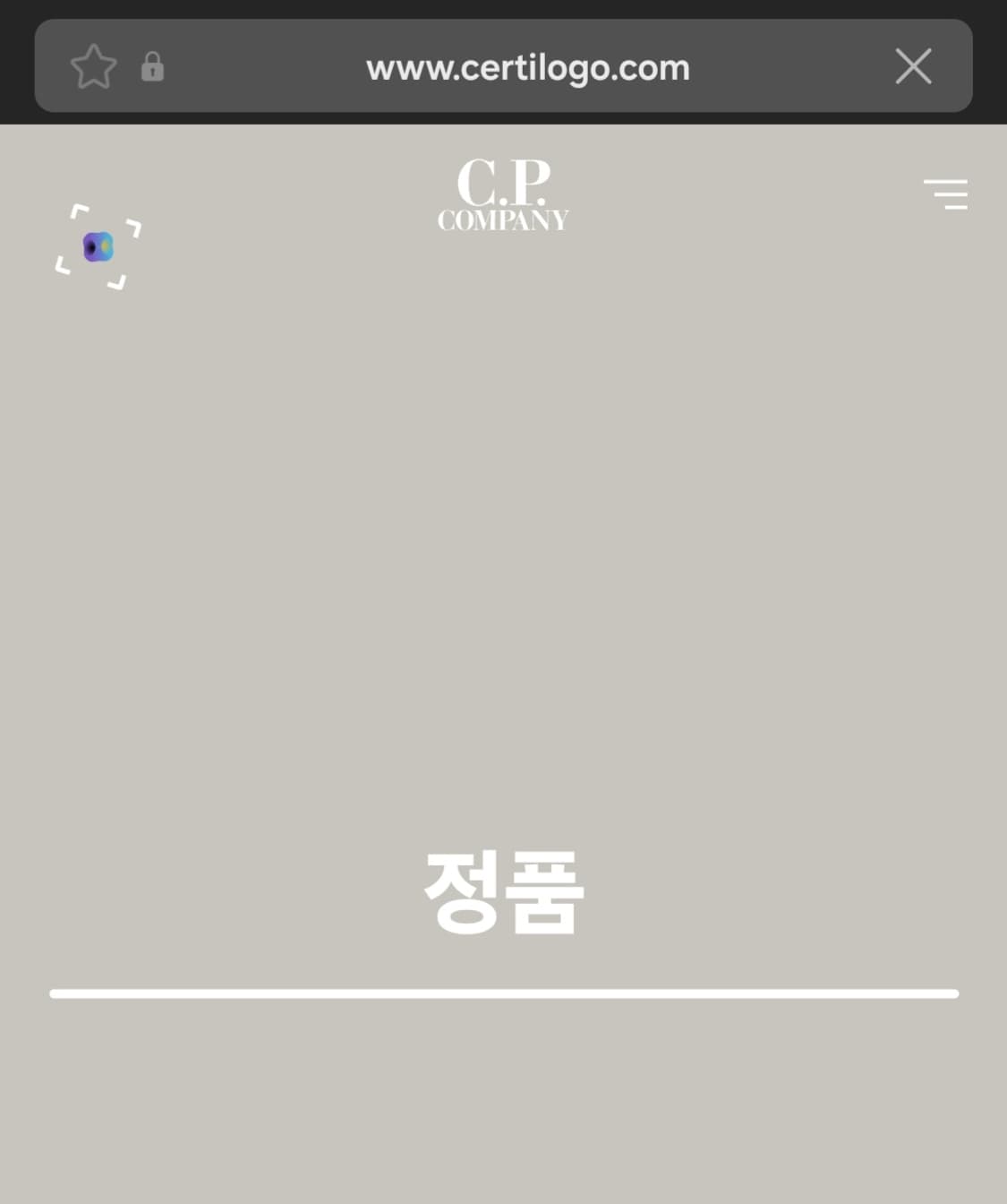 CP컴퍼니 고글후디 프린팅 반팔 그레이 상품이미지5