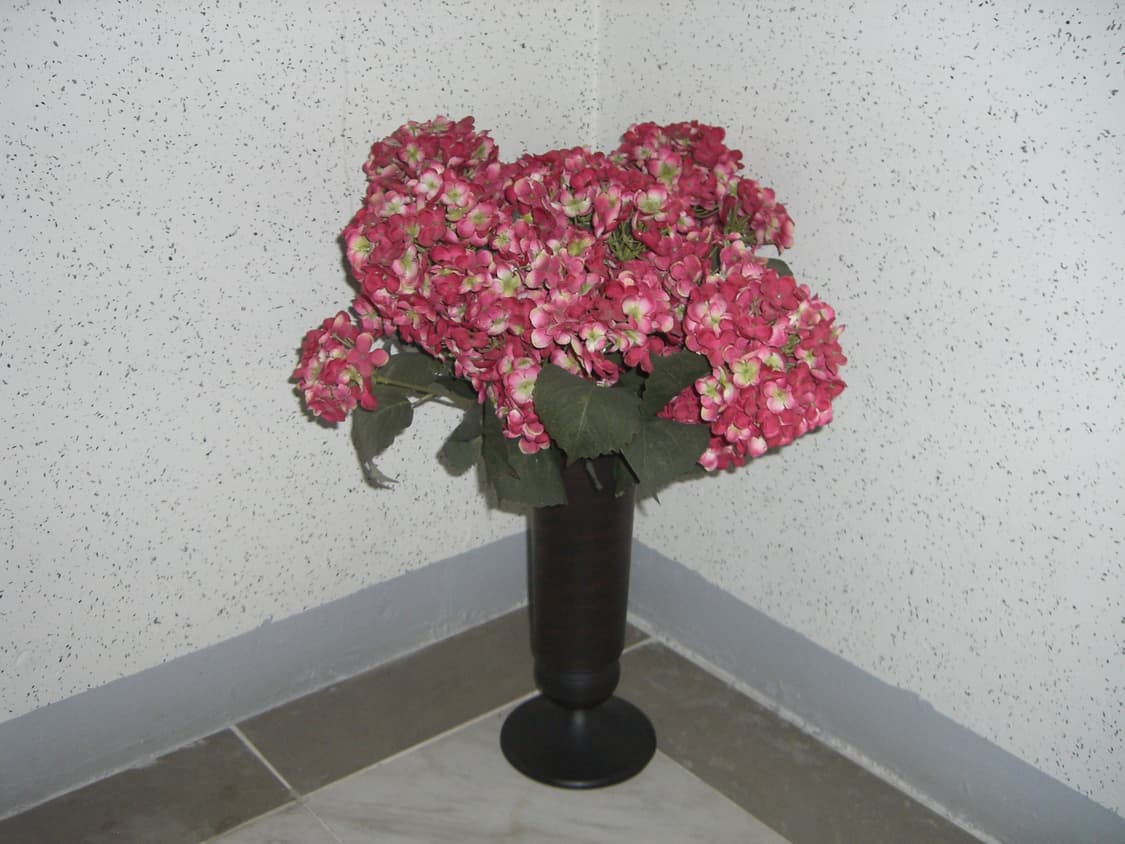 (초민트급) 카시오 엑슬림 ex-z500 상품이미지9