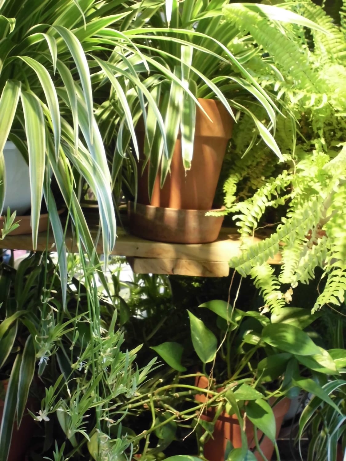 (희귀✨️)카시오 엑슬림 CASIO EXILIM EX-Z880  상품이미지10