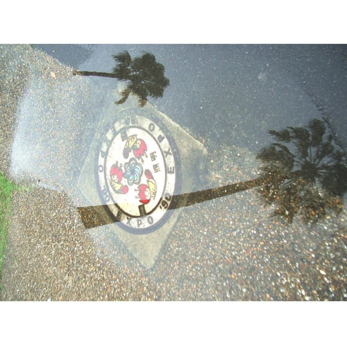 펜탁스 옵티오 230 (회전엘시디 작례 0) 상품이미지5