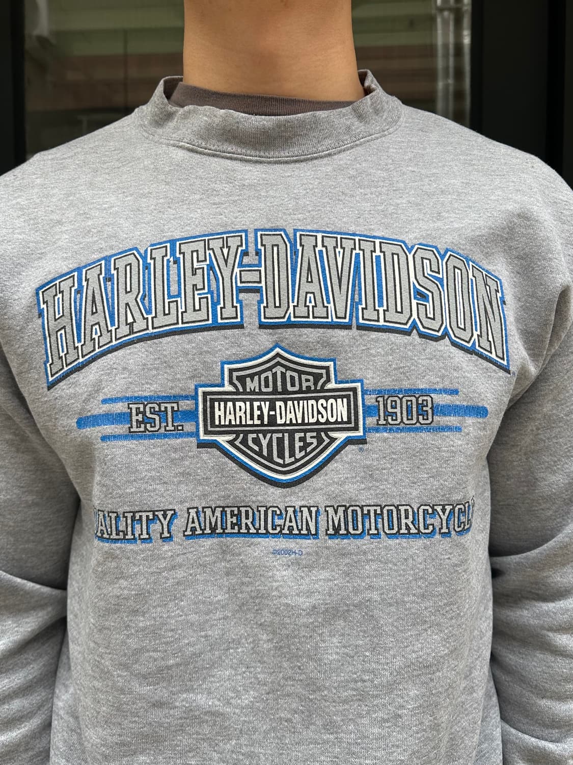 00’s Harley Davidson quality logo sweats 상품이미지6
