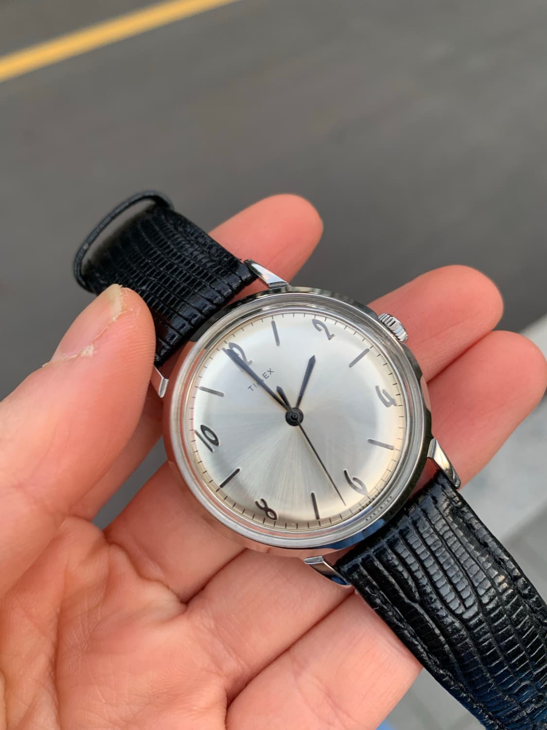 타이맥스 타이멕스 멀린 말린 34 수동 리이슈 상품이미지4