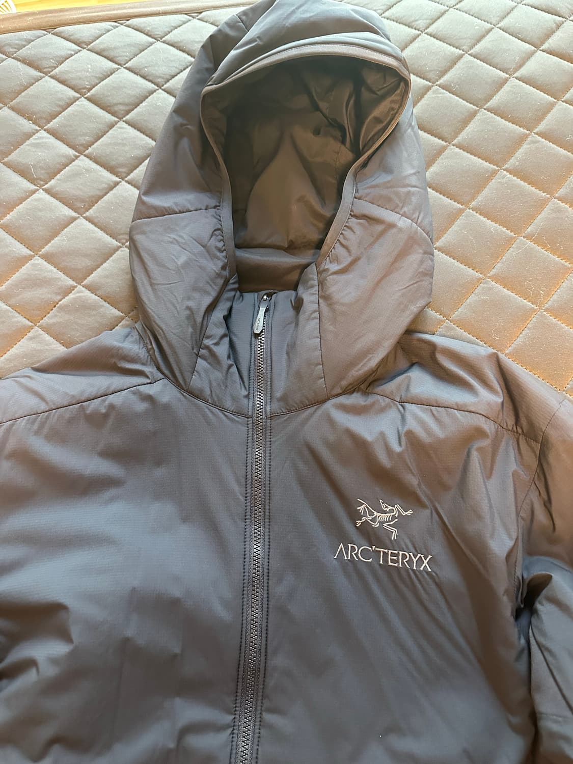 아크테릭스 아톰 후디  상품이미지1