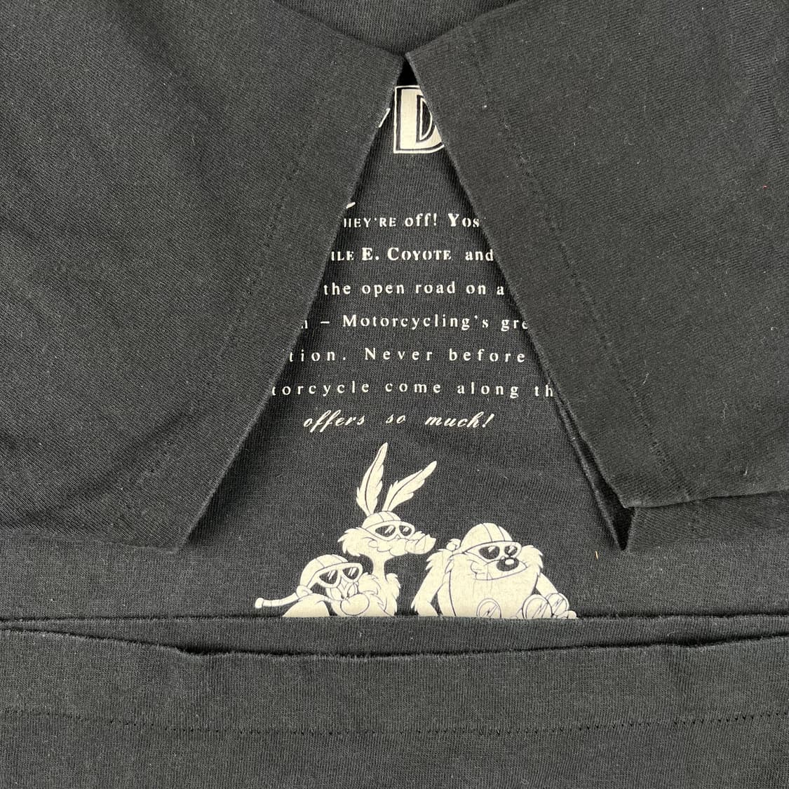 빈티지 할리데이비슨 x 워너브로스 Circle the World 반팔티 상품이미지7