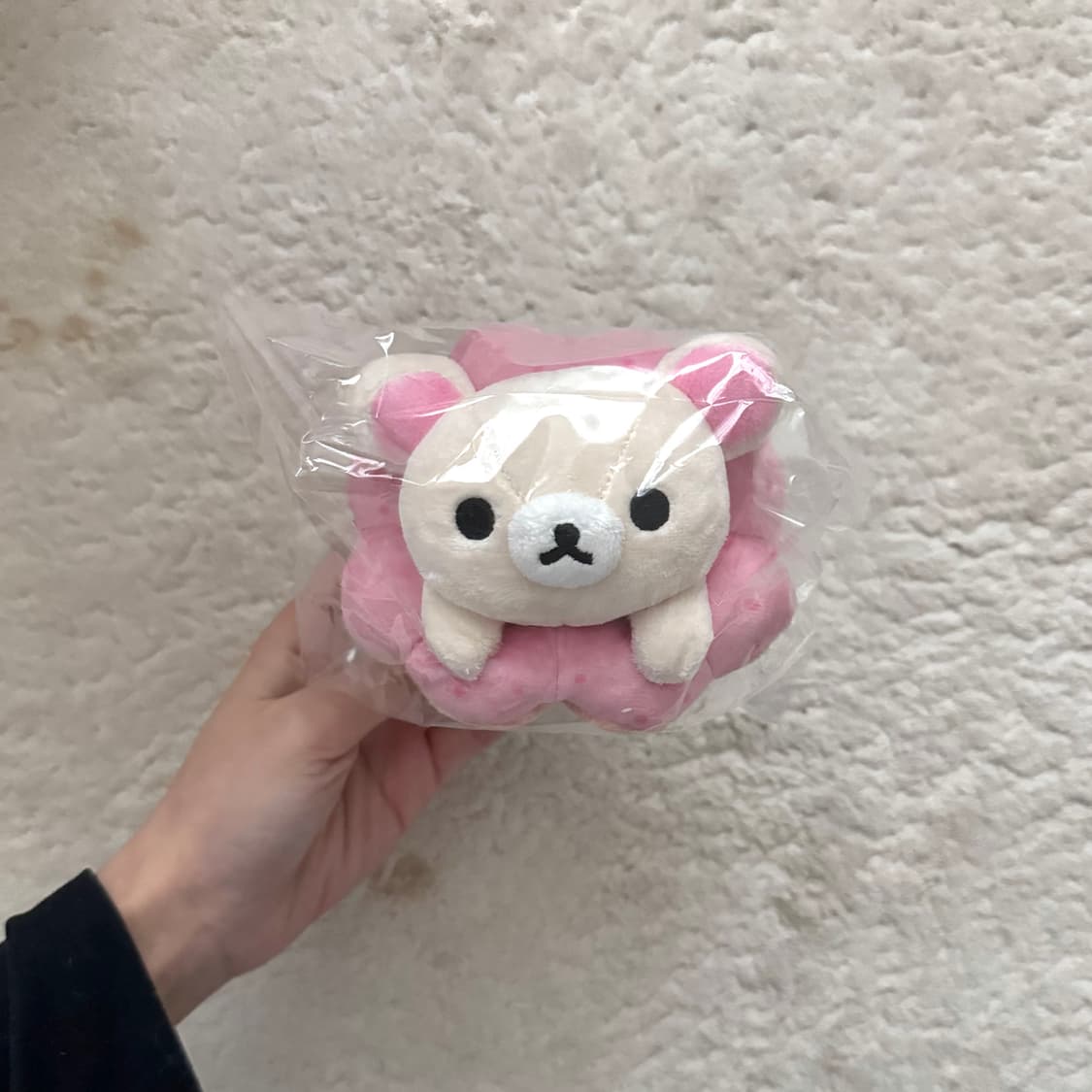 일본 코리락쿠마 미스터도넛 콜라보 인형 키링 상품이미지3