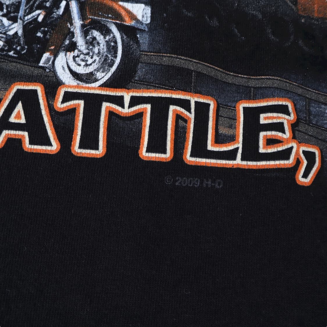 할리데이비슨 2009 시애틀 롱슬리브 상품이미지7