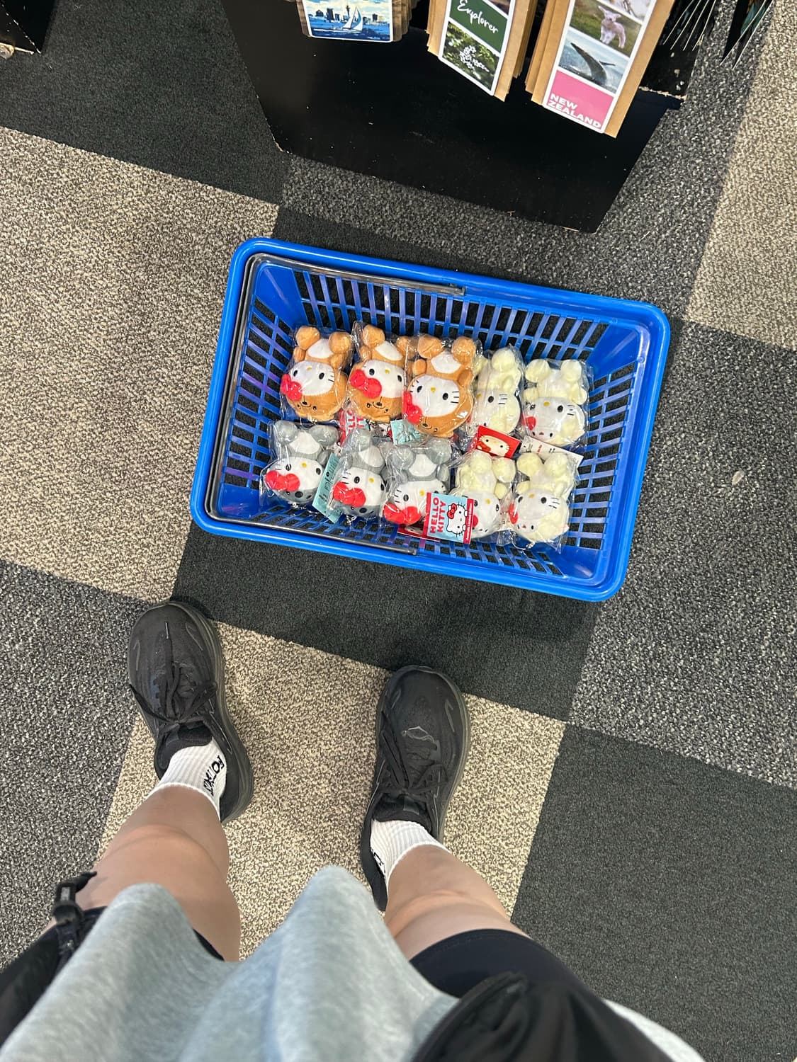 호주 한정판 코알라 키티 상품이미지3