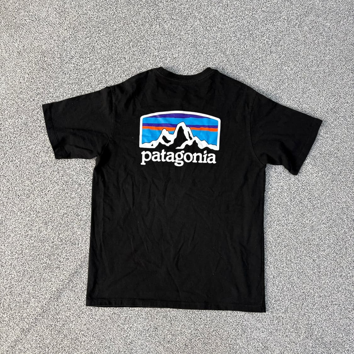 XS 파타고니아 Patagonia 반팔티 0602J1 상품이미지3