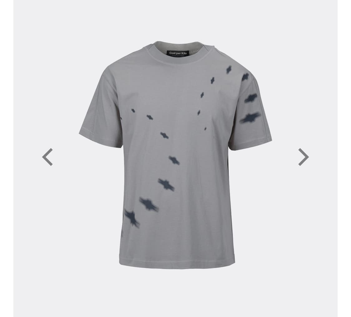코스트퍼킬로 DIRTY STAR T-SHIRT-GREY 더티스타 상품이미지1