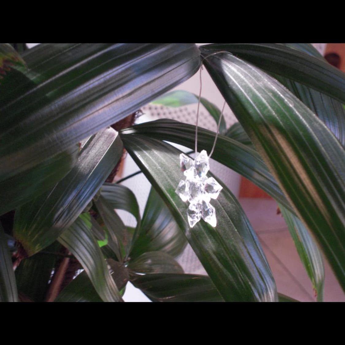 작례⭕️  니콘 쿨픽스 S600 샴페인 골드🍾 빈티지 디카 디지털카메라 상품이미지9