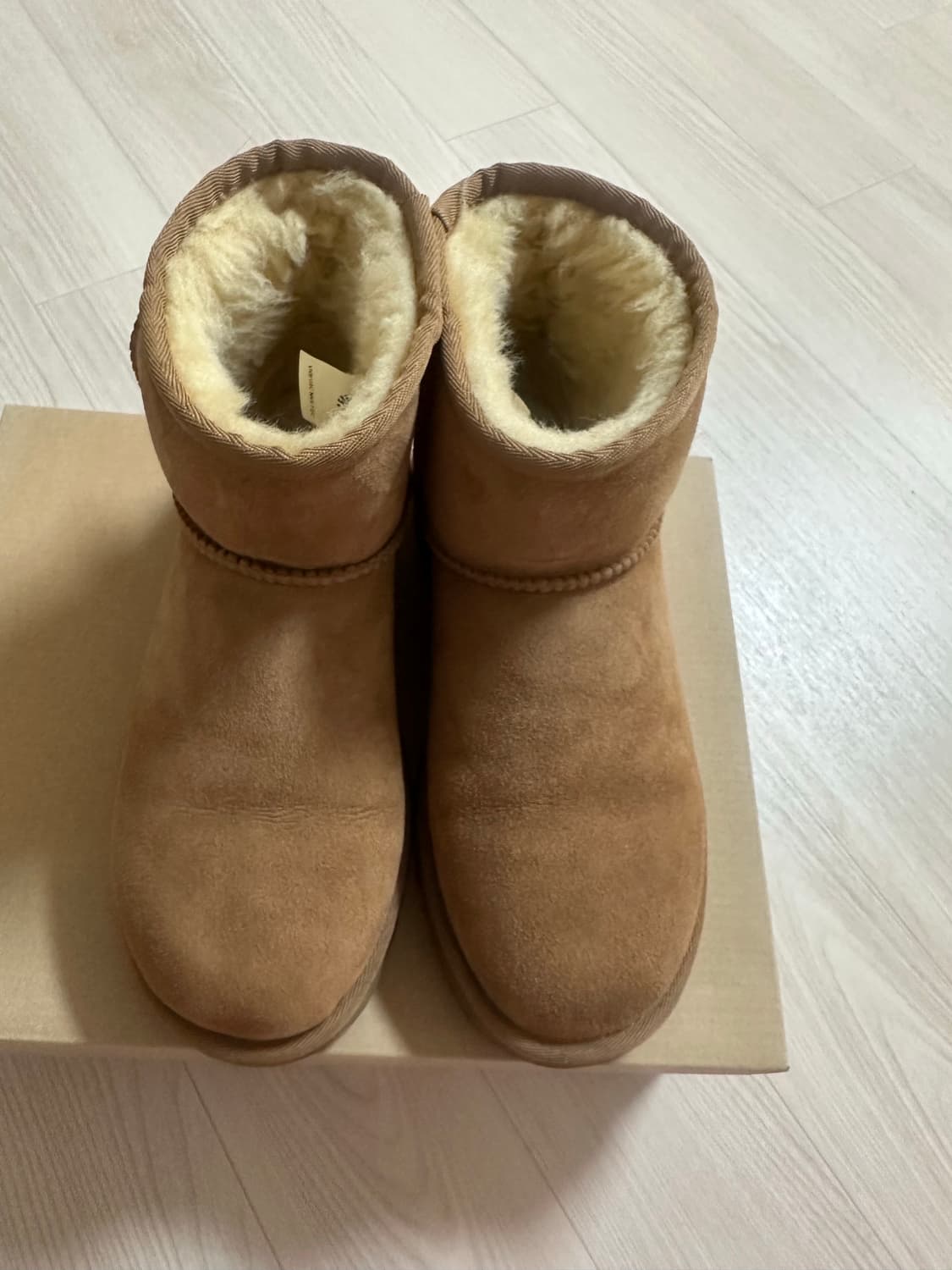 어그 클래식 미니2 체스트넛 240 상품이미지1