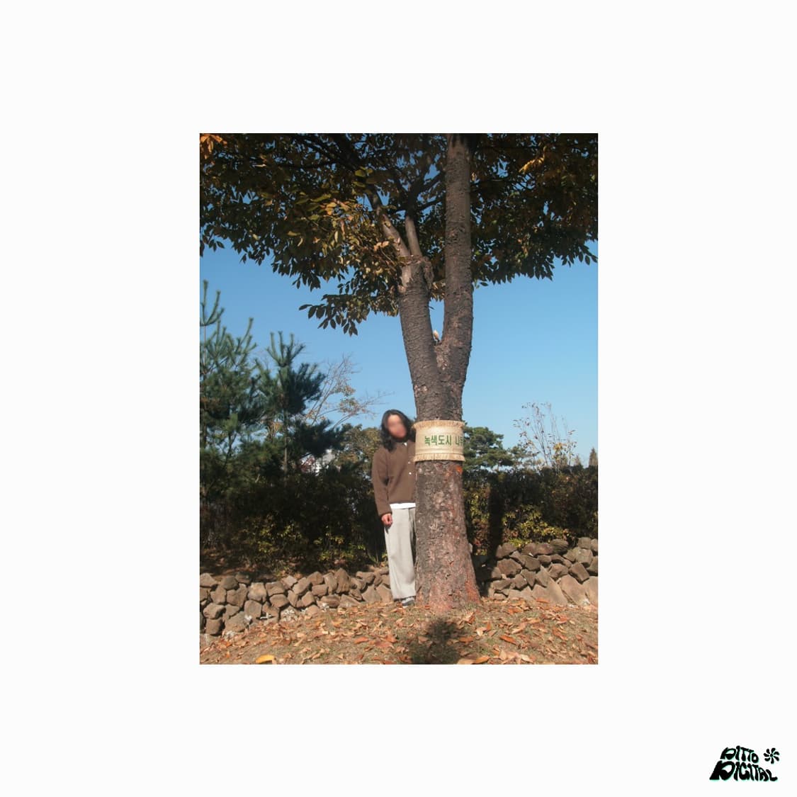 GE C1130디카 상품이미지6