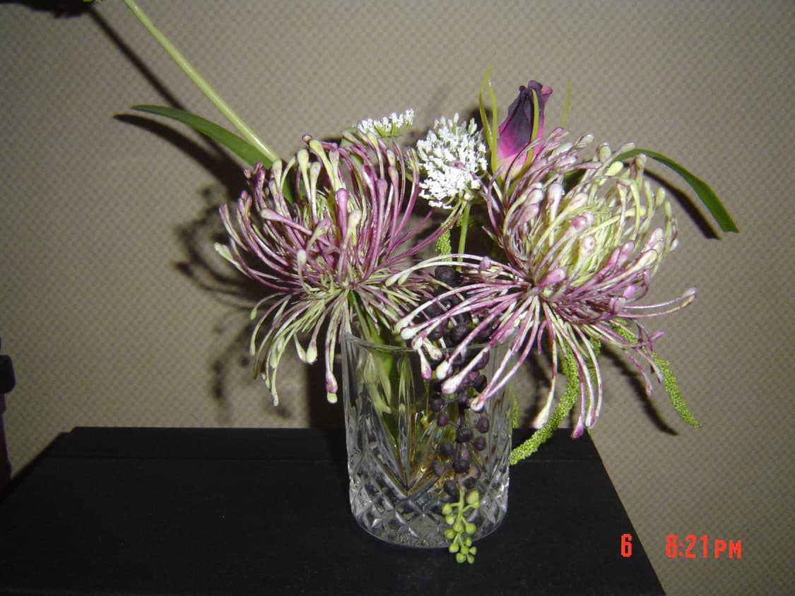 Sony Cyber-shot DSC-P8 디카 상품이미지5