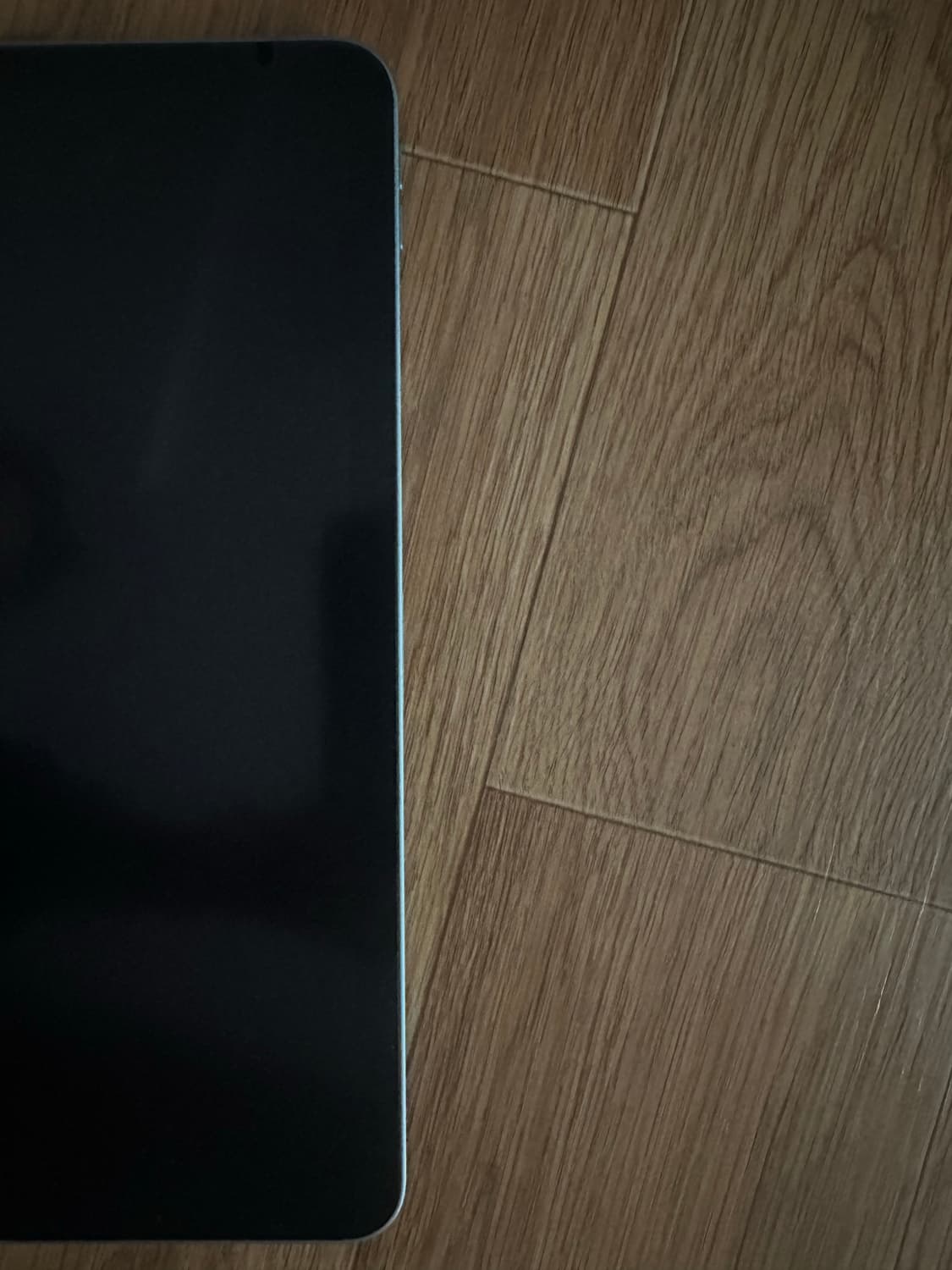 아이패드 에어4세대 스카이블루 64기가 상품이미지4