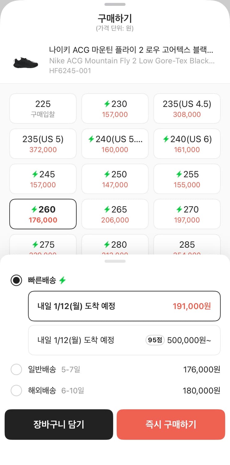 나이키 ACG 마운틴 플라이 2 로우 고어텍스 블랙 260사이즈 상품이미지7