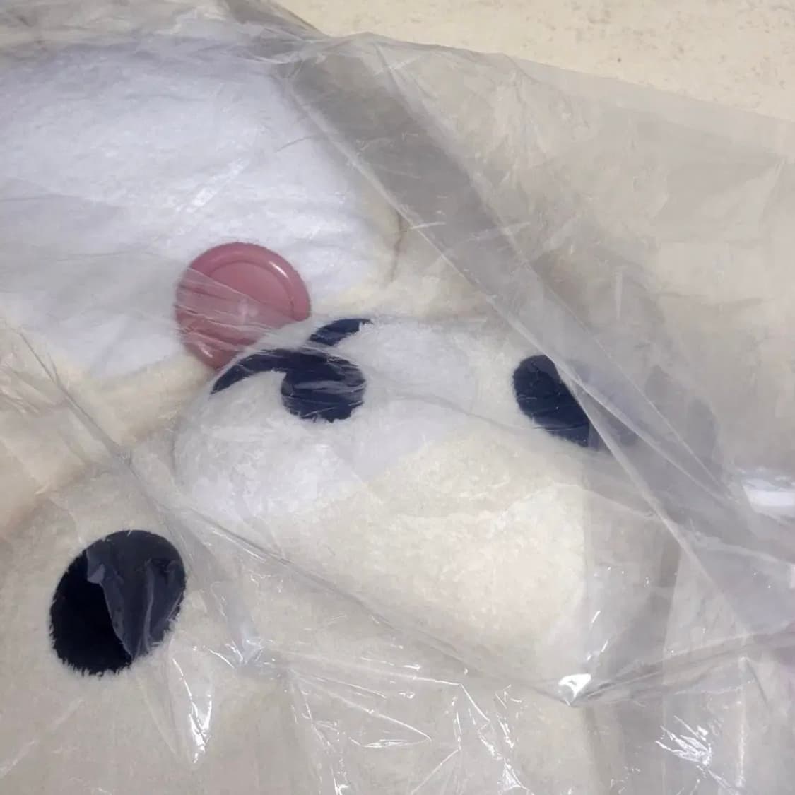 마지막 할인1/16,일괄)산엑스 100cm 장모 특대 코리락쿠마 후와 상품이미지9