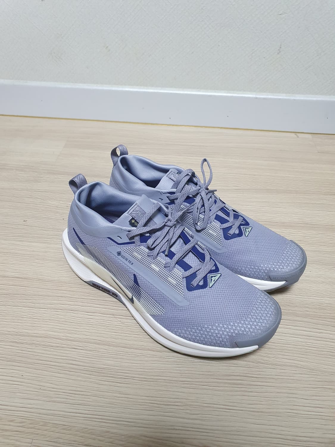 나이키 페가수스 트레일 5 고어텍스 290 상품이미지2