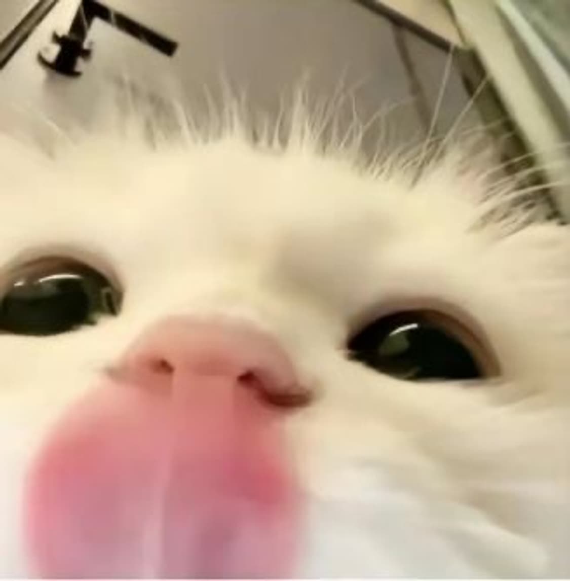 결제창입니당   상품이미지1