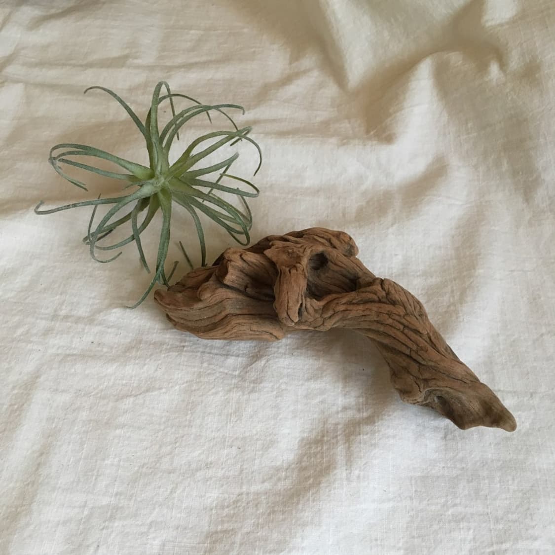 wood object 028 상품이미지3