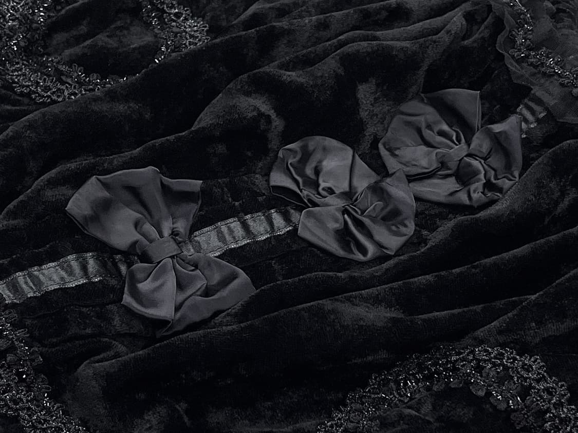 embellished velvet bag 상품이미지3