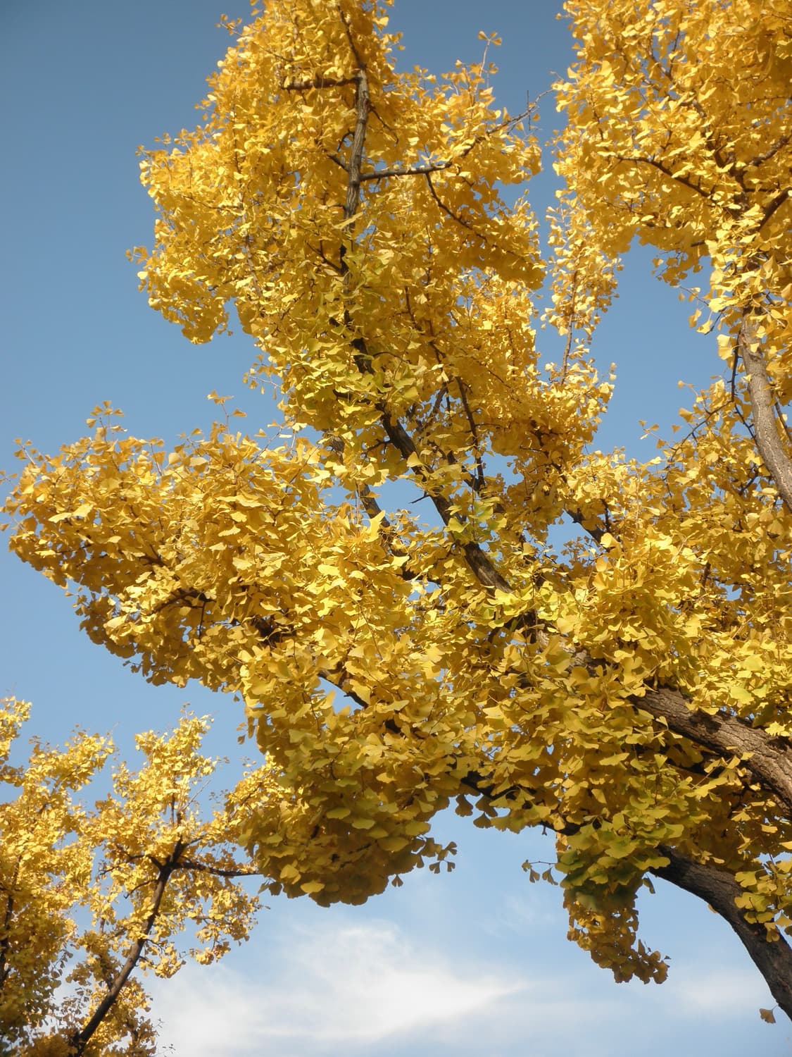 입문&강추!) Samsung VLUU M300W 디카 카메라 상품이미지4