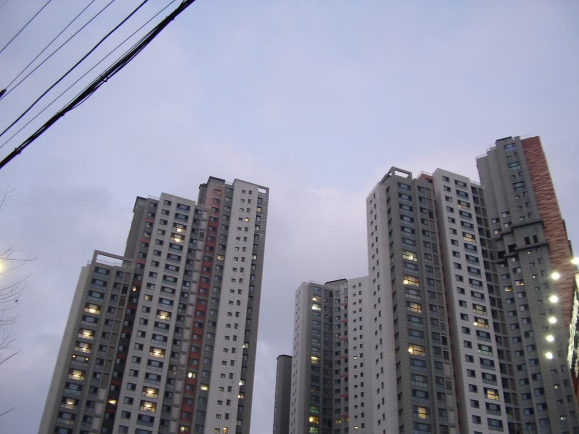 삼성케녹스a4디카 상품이미지8