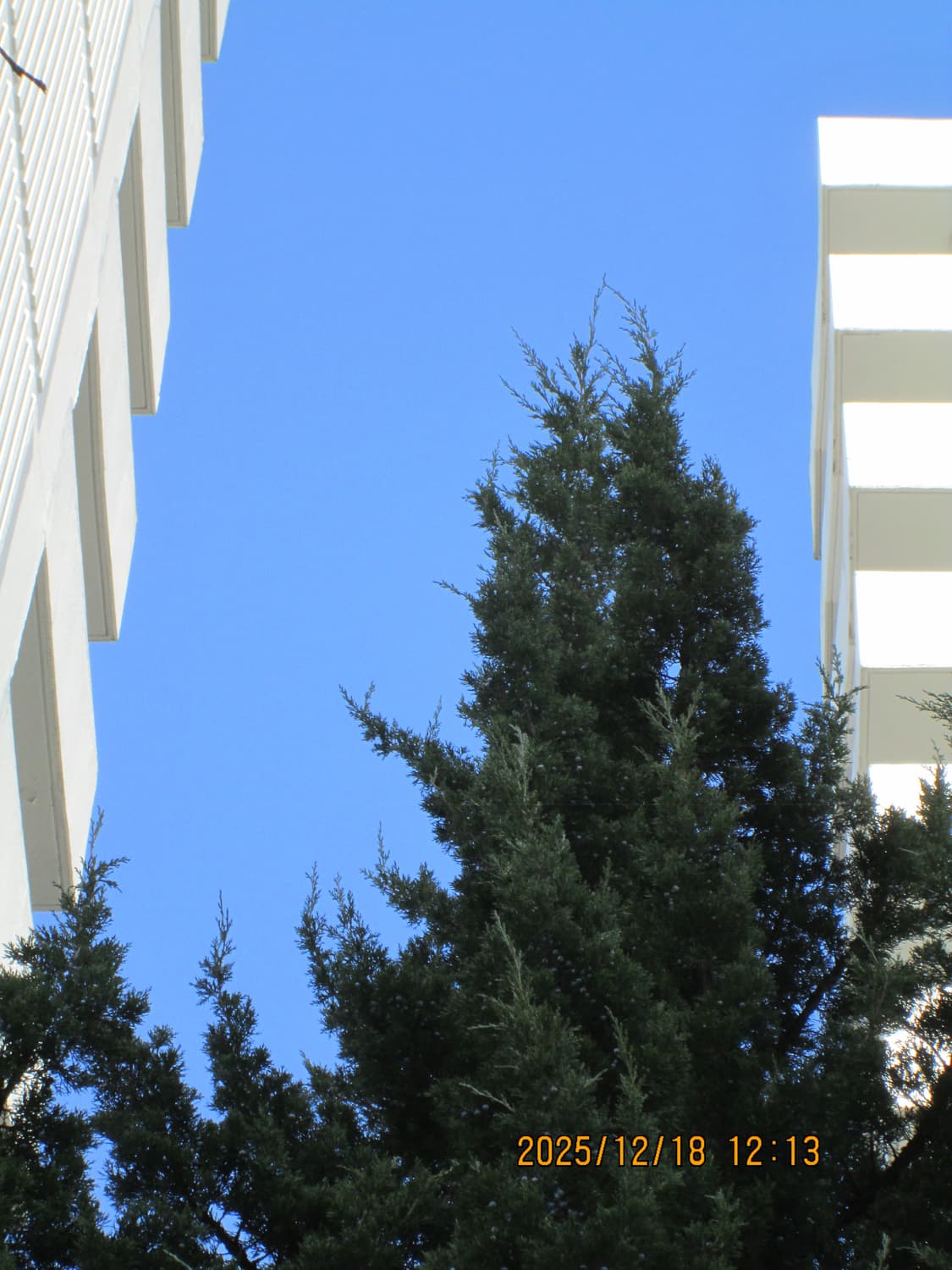 캐논 파워샷 A810 디카 상품이미지7