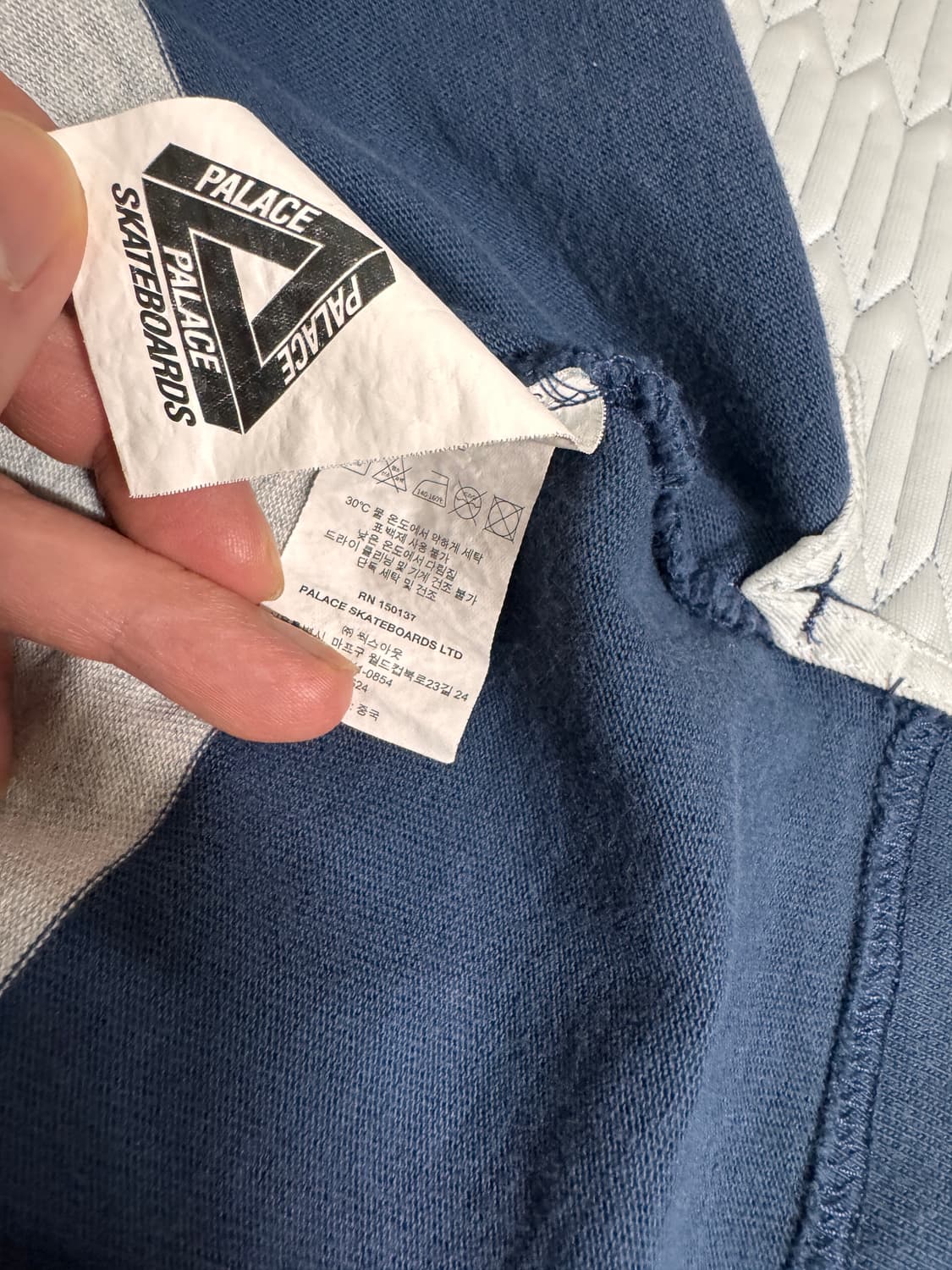 팔라스 럭비 폴로 상품이미지4