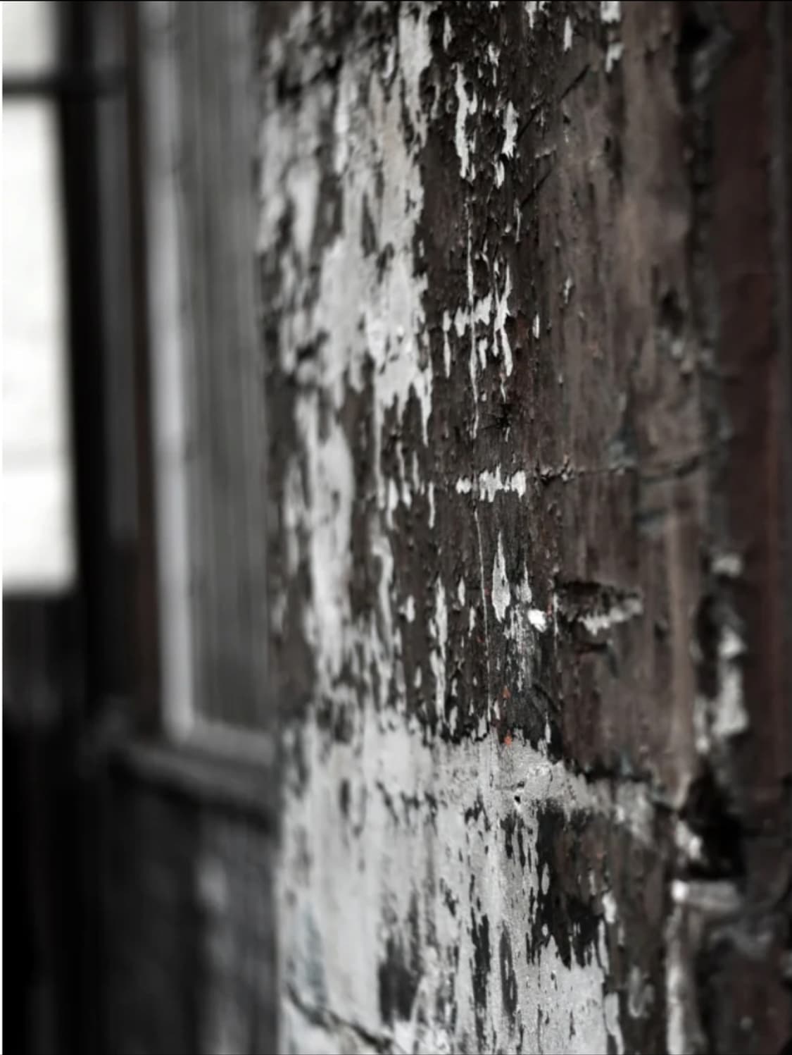 개인 결제창 : KZ ATELIER 상품이미지1