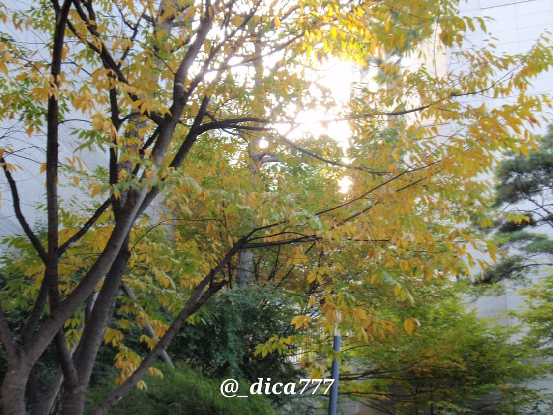 올림푸스 뮤 1020 디카 상품이미지7