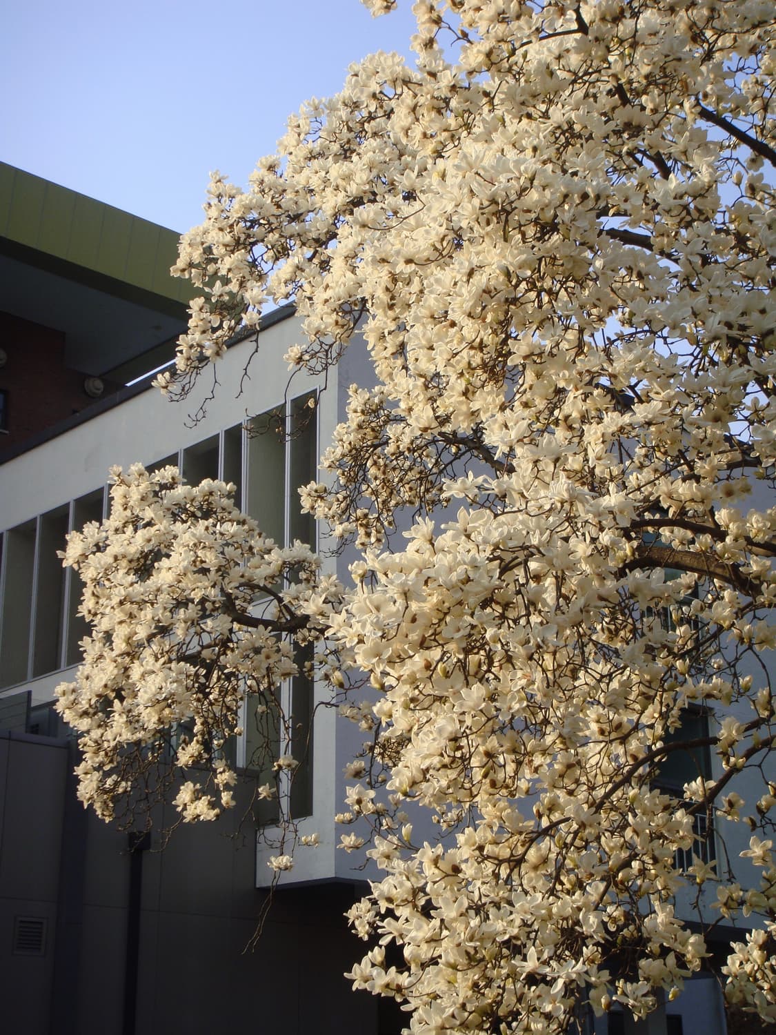 [색감천재] 소니 사이버샷 T77 그린 (작례o) 상품이미지8