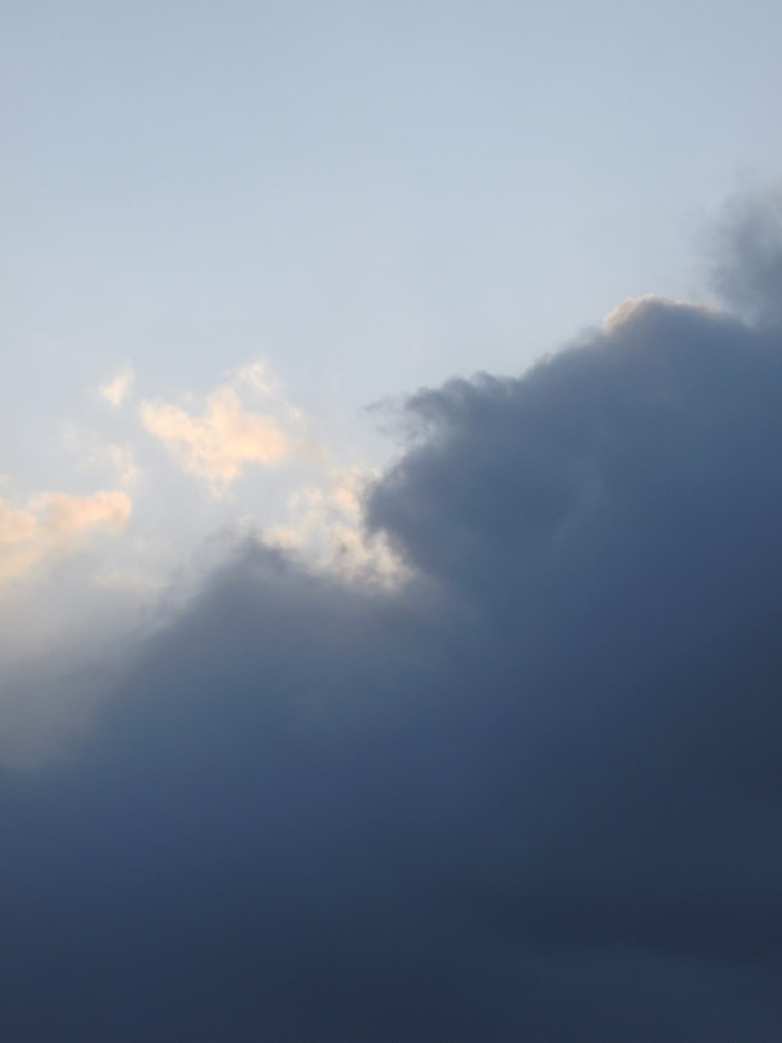 박스/새상품급) Rollei Flexline 140 롤라이 빈티지 디카 상품이미지9