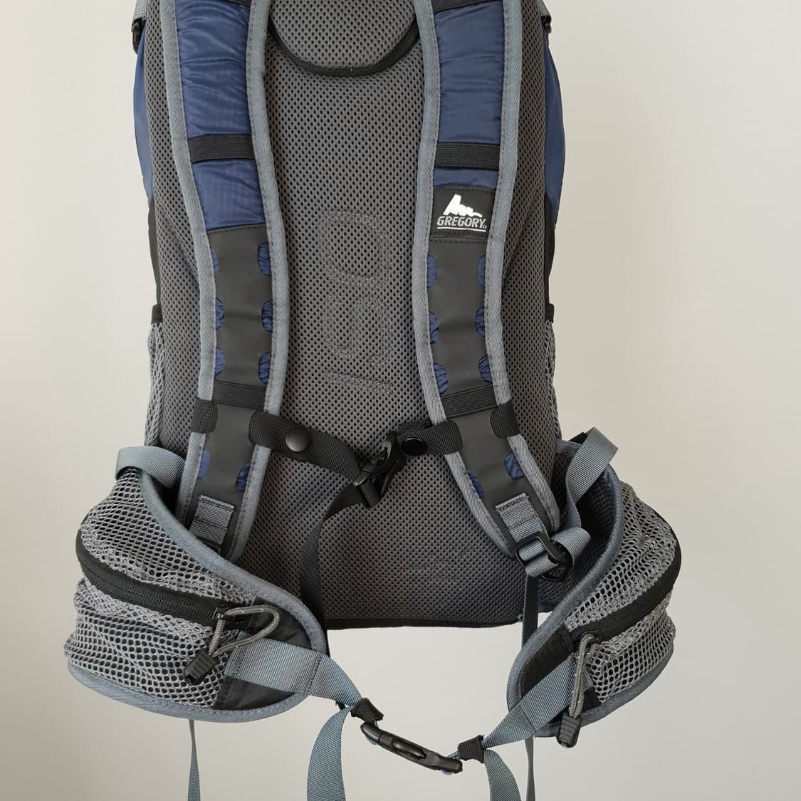 GREGORY iso backpack 후루츠패밀리