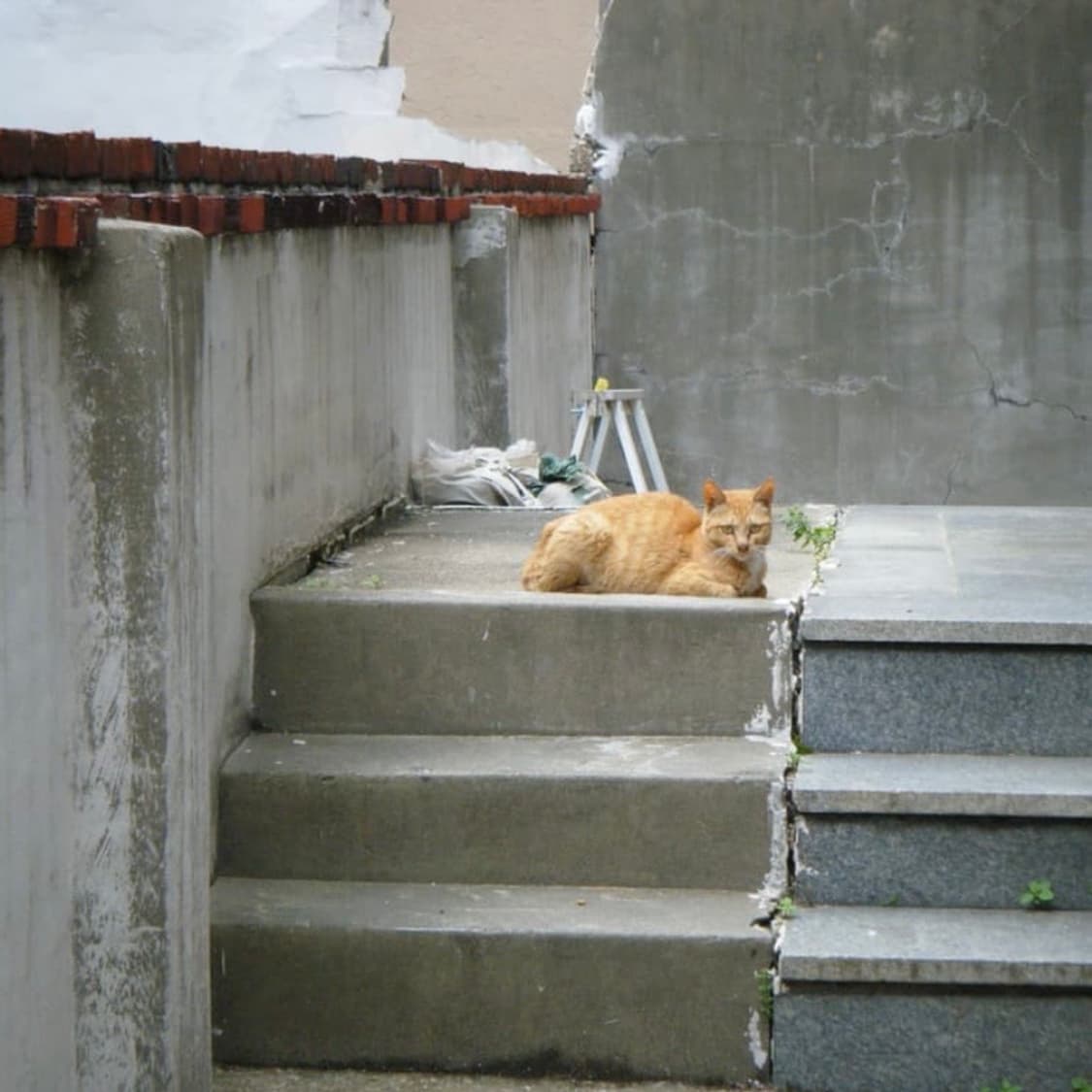 후지필름 파인픽스 Z33 WP 카메라 디카 상품이미지10