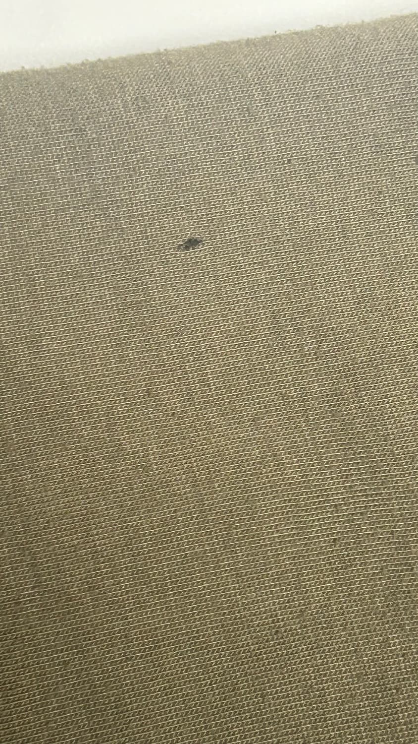 GAP 카키 기모 후드집업 상품이미지4