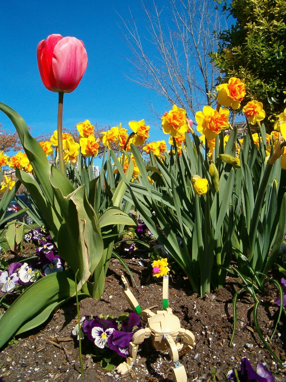 HP Photosmart 735 상품이미지1