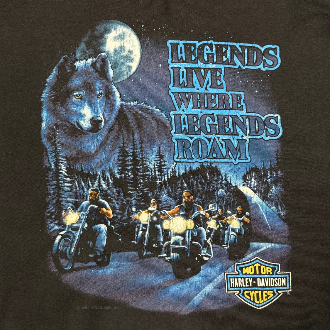 빈티지 90s HarleyDavidson 할리데이비슨 블루 플레임 스웻 상품이미지5