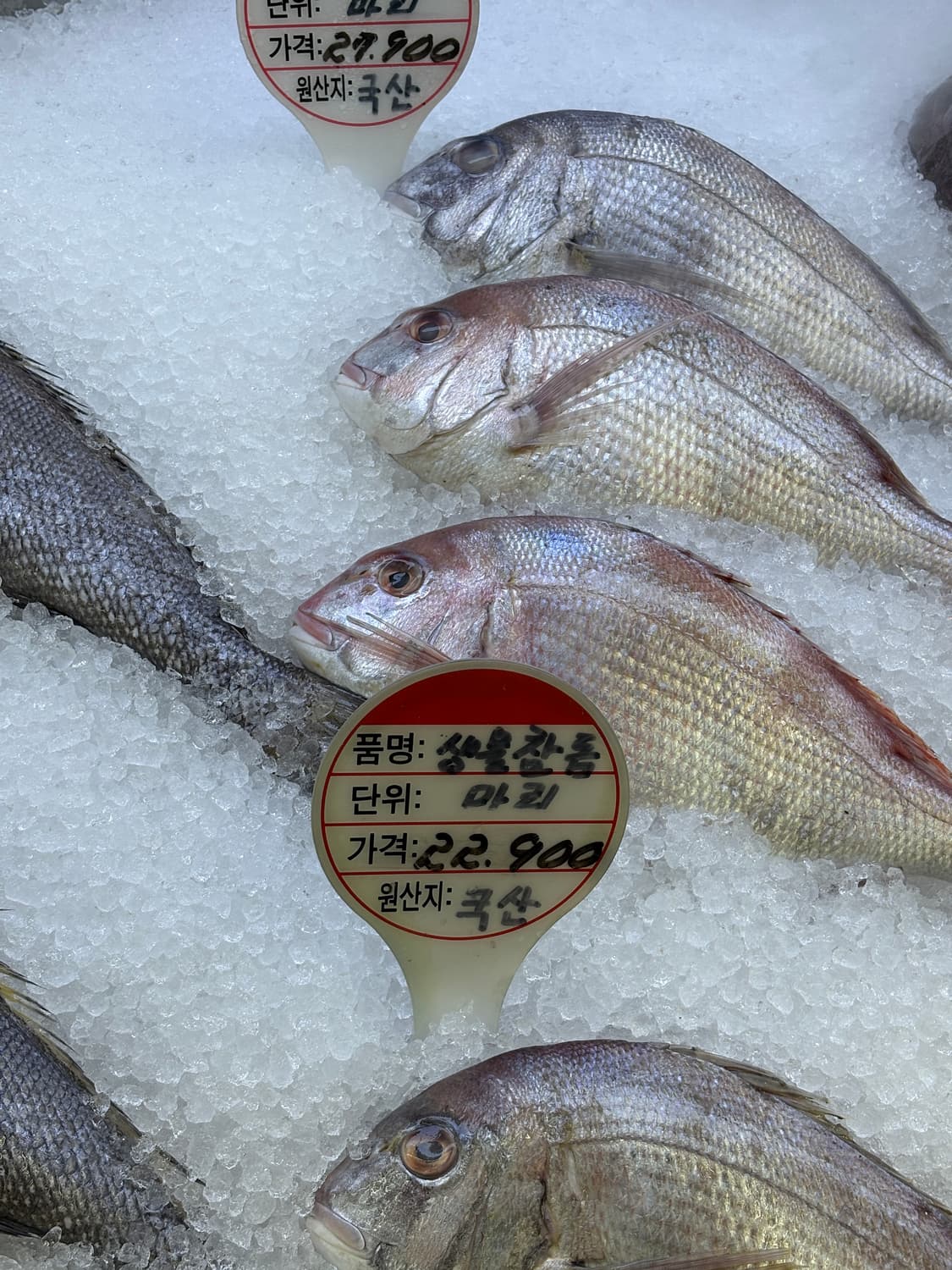 Lavodalova님 결제창 상품이미지1