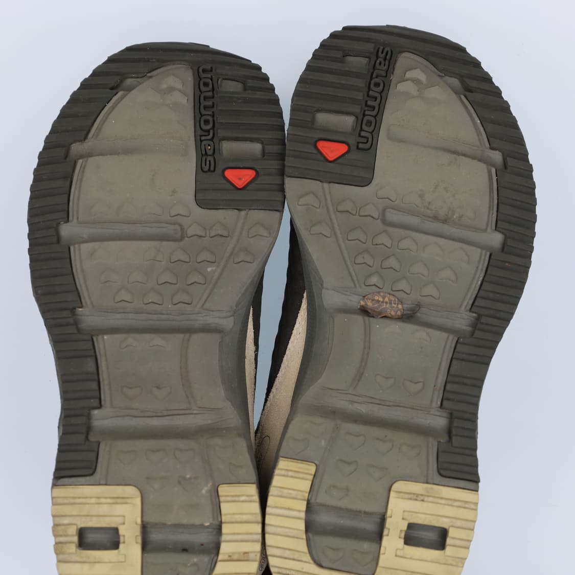 260 살로몬 RX 스너그 0406H1 상품이미지5