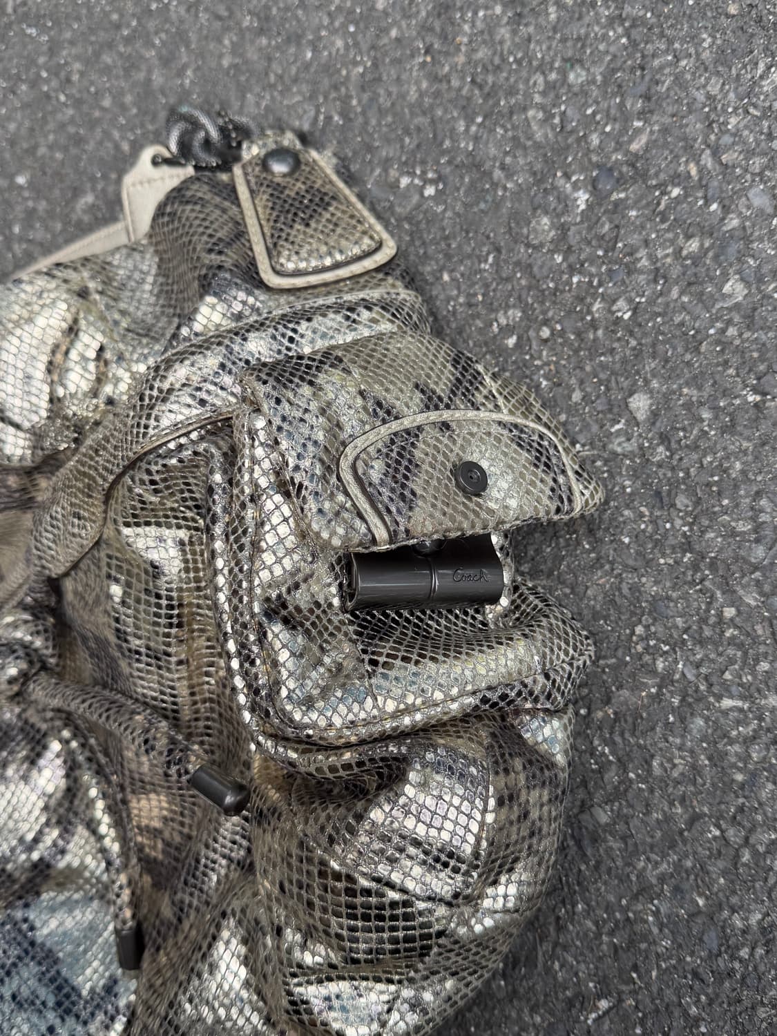 🌟유일 매물 Coach Python Metallic Hobo(갸루) 상품이미지6