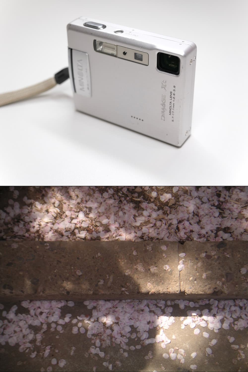 Konica Minolta Dimage Xt 상품이미지3
