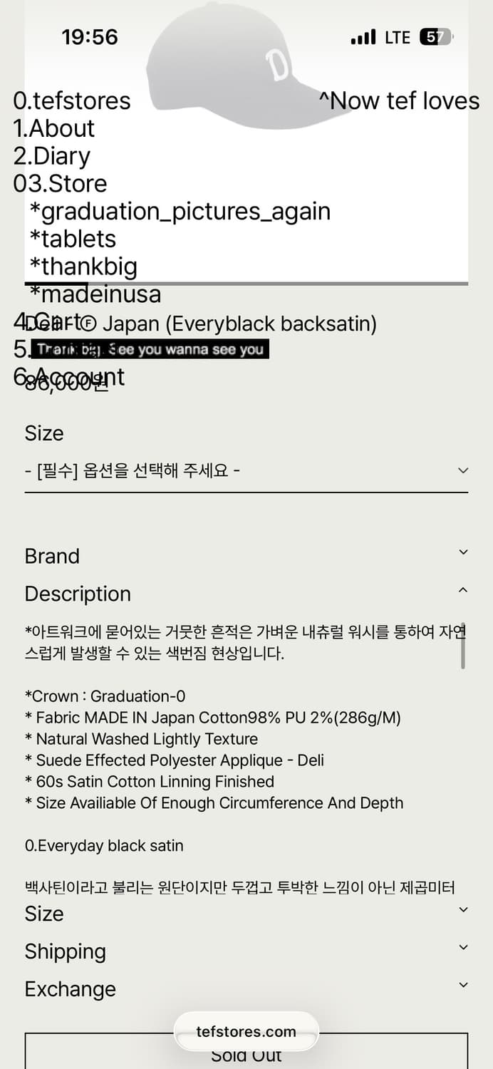 테프스토어즈 tefstores 모자 상품이미지5