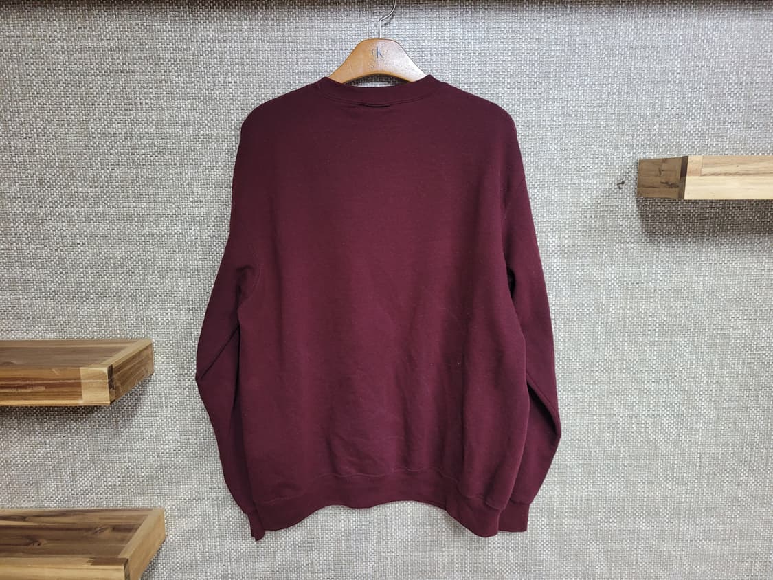 L 105사이즈 챔피언 맨투맨  상품이미지3