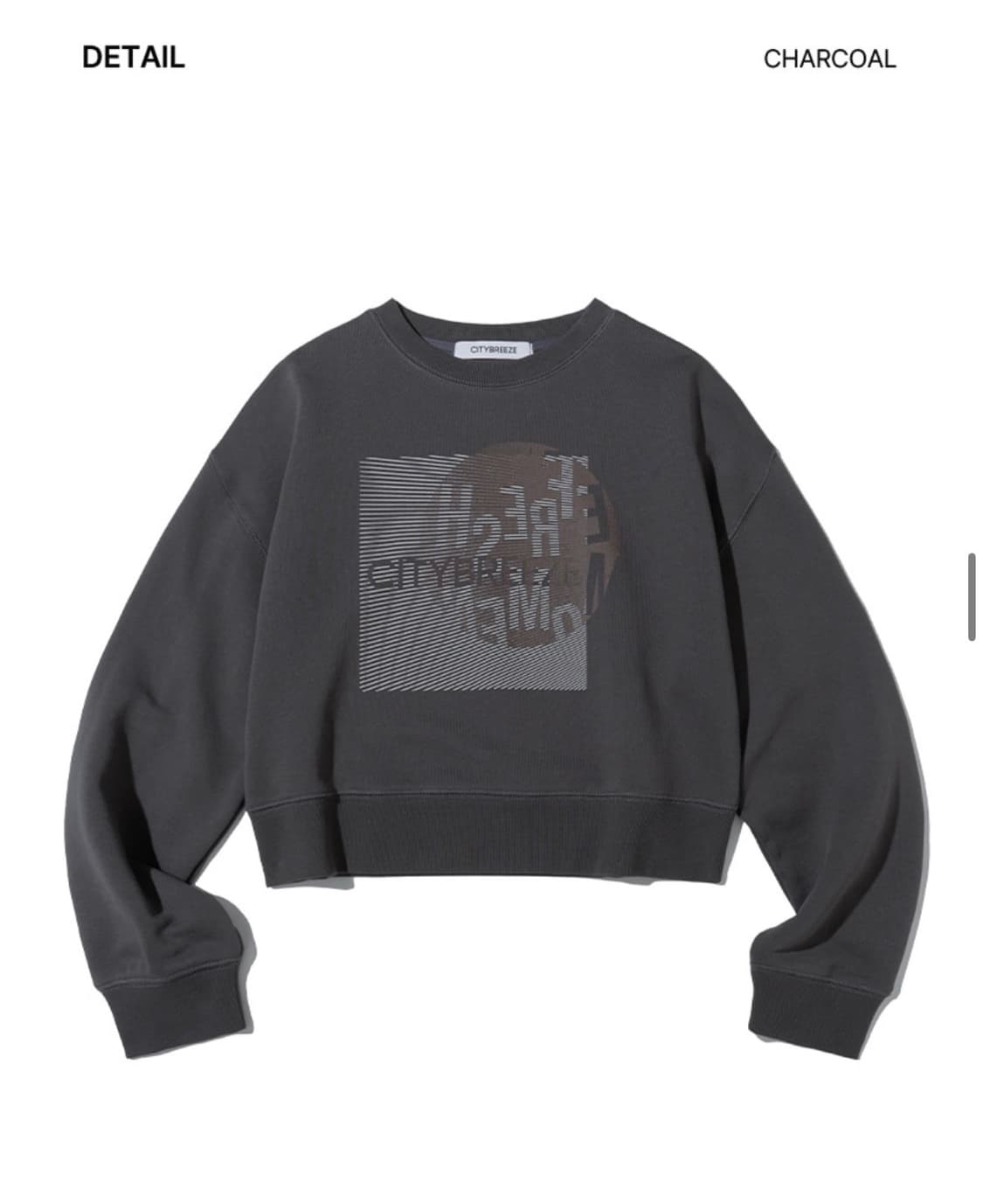 시티브리즈 픽셀 노이즈 스웻셔츠 차콜 상품이미지1