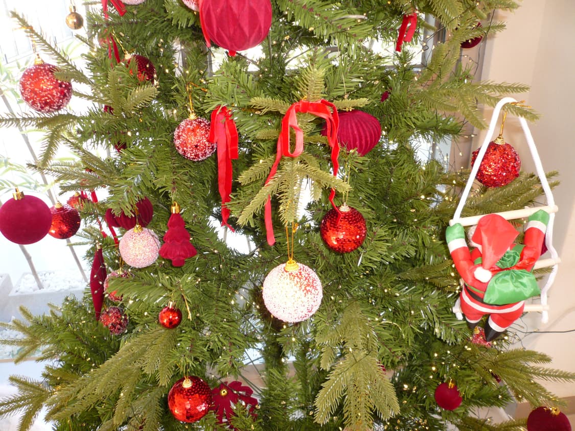 파나소닉 루믹스 DMC-FX50 연핑크 디카 Panasonic Lumix 상품이미지7