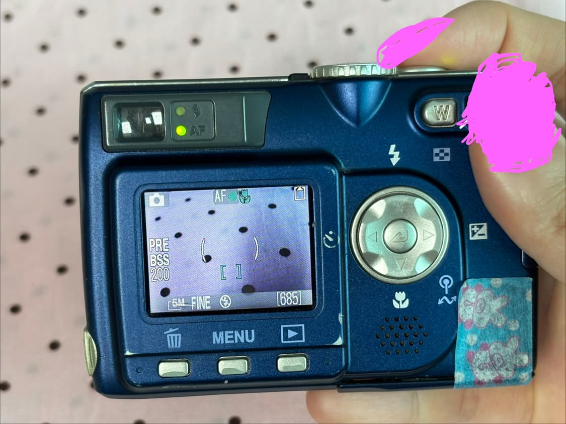 니콘 쿨픽스5200 블루 상품이미지5